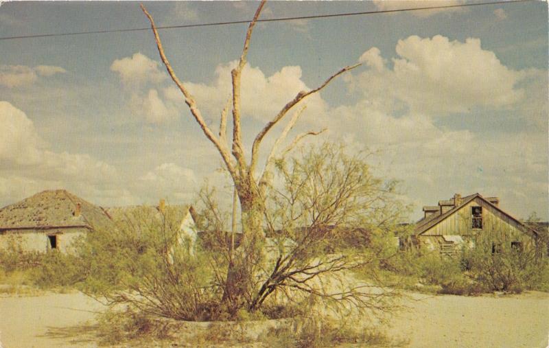 LANGTRY TEXAS THE HANGING TREE~JUDGE ROY BEAN~LAW WEST OF PECOS POSTCARD 1960s