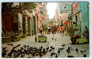 CURACAO Dutch West Indies HEERENSTRAAT Punda Shopping Street Scene 1979 Postcard