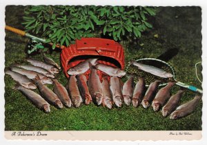 Fishing for Rainbow Trout, New Hampshire, United States