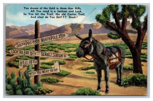 You Dream Of The Gold All You Need Is A Jackass & Luck Postcard