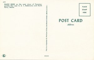 Lonely Tree on Pulpit Rock on Passamaquoddy Bay near North Perry, Maine