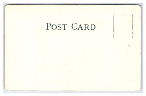 Postcard McKinley Monument St. James Park San Jose Cal. California