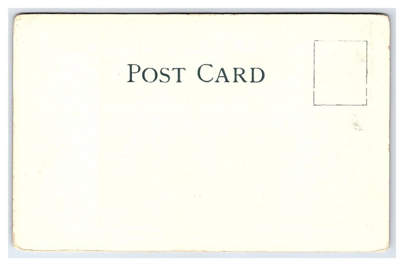 Postcard McKinley Monument St. James Park San Jose Cal. California