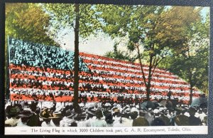 Mint USA Color Picture Postcard The Living Flag Civil War GAR Encampment Toledo