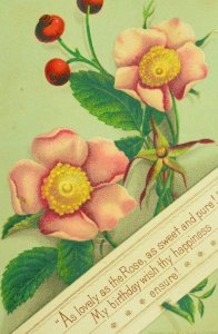 1878 Lovely Cherry Blossoms Flowers Birthday Victorian Scrapbook Trade Card F83