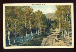 Maine/ME Postcard, Greetings From Maine, River Birches, 1934!