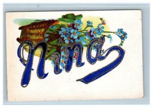 NINA ~   c1910s   LARGE LETTER w/ Glitter Greeting Name Postcard