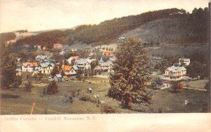 Griffin Corners Grand Gorge, New York Postcard