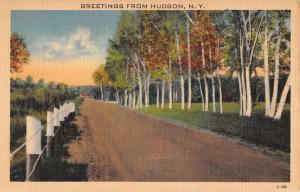 Hudson New York Scenic Roadway Greeting Antique Postcard K87584