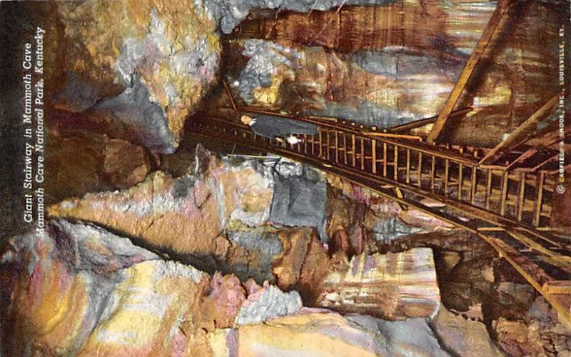 Giant Stairway Mammoth Cave National Park, Kentucky, USA 1958 