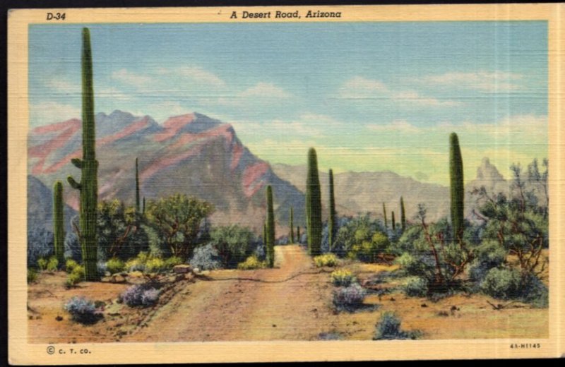 Arizona A Desert Road Scenic Area Castus and Mountain - pm 1 1/2 c stamp- LINEN