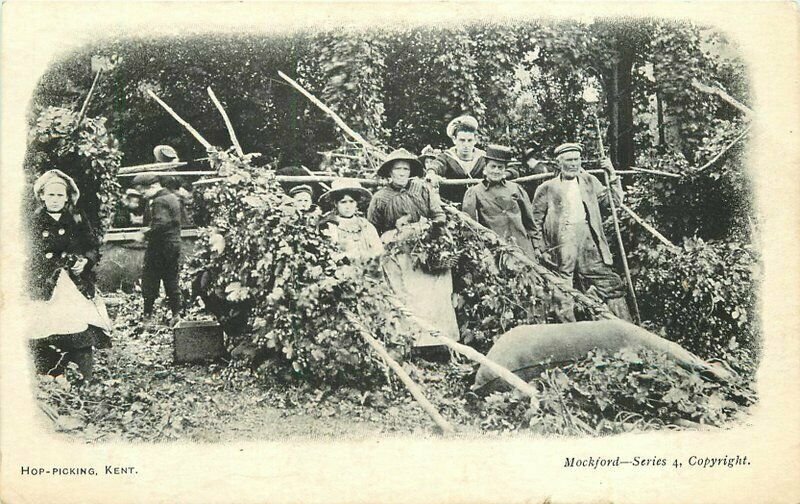 UK Kent Hop Picking Mockford Series #4 Beer Making occupation  Postcard 22-4134