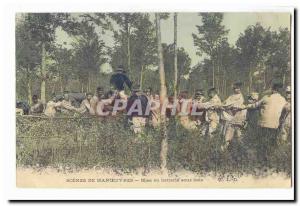 Old Postcard Scenes Army maneuvers Getting battery undergrowth
