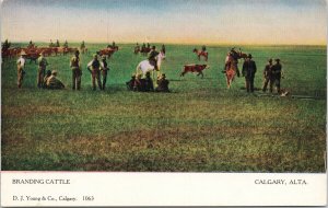 Branding Cattle Calgary Alberta AB Alta Cowboys Ranchers DJ Young Postcard H4
