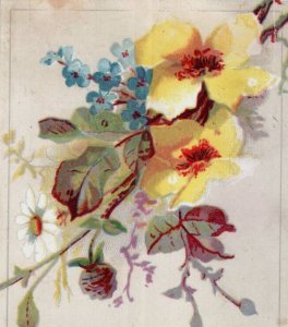 1881 Folding Card Church Of The Holy Spirit 66th St. NY #7S