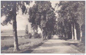 RP; FANESTRANDEN, Molde, Norway; Tree-lined Road, 00-10s