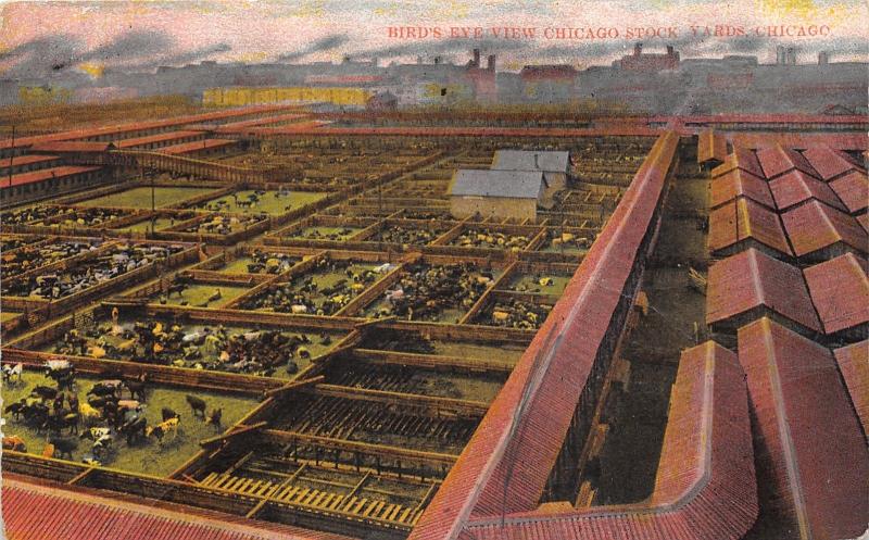 Chicago Illinois~Stock Yards Bird's Eye View~Overlooking Pens~c1910 Postcard
