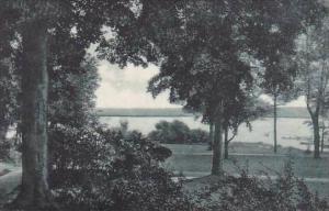 New York Chautauqua The Lake From The Promenade On Chautauqua Albertype