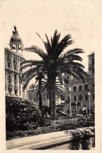 Lot 98 real photo murcia st dominic gardens spain