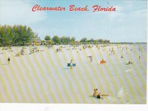 Florida Clearwater Beach Sun Bathers