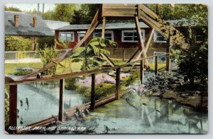 Hot Springs Arkansas~Alligator Farm~Babies Climb Fence~Water Slide~1911 Postcard