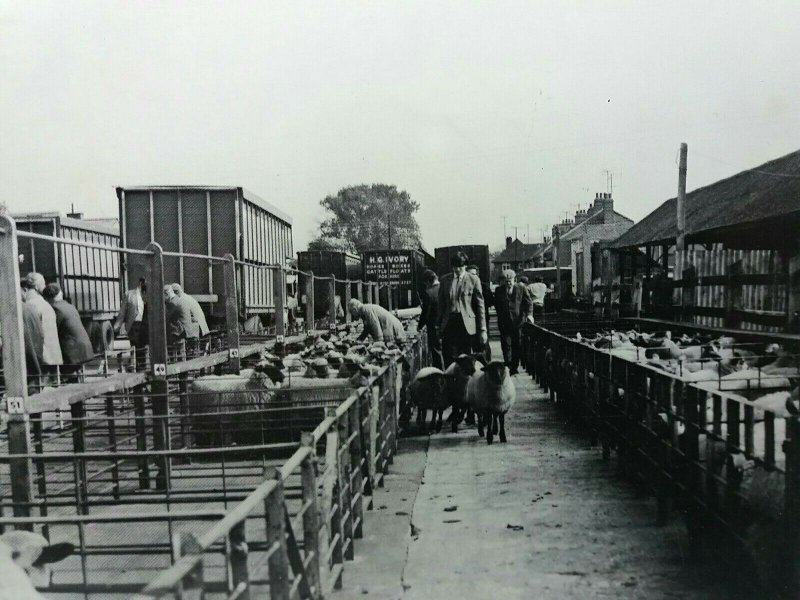 Bletchley Cattle Market Buckinghamshire Vintage Postcard 1969