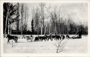 Nipawin SK Saskatchewan Dog Sled Team Man c1946 TG Dainard RPPC Postcard H17