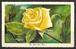 New York - Rose - Official State Flower - [NY-033]