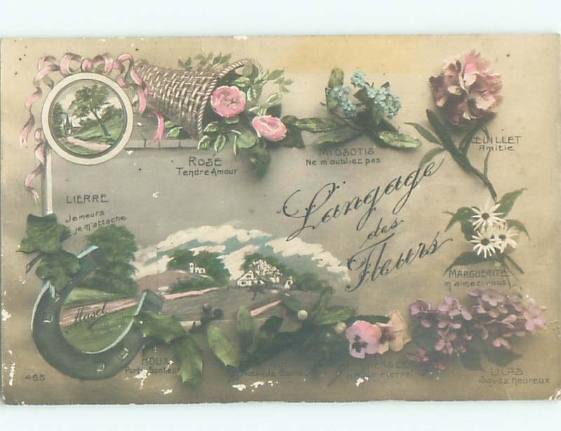 tinted rppc c1910 BEAUTIFUL FLOWERS AC8967