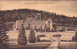 New York Cobleskill Cobleskill Central School Artvue