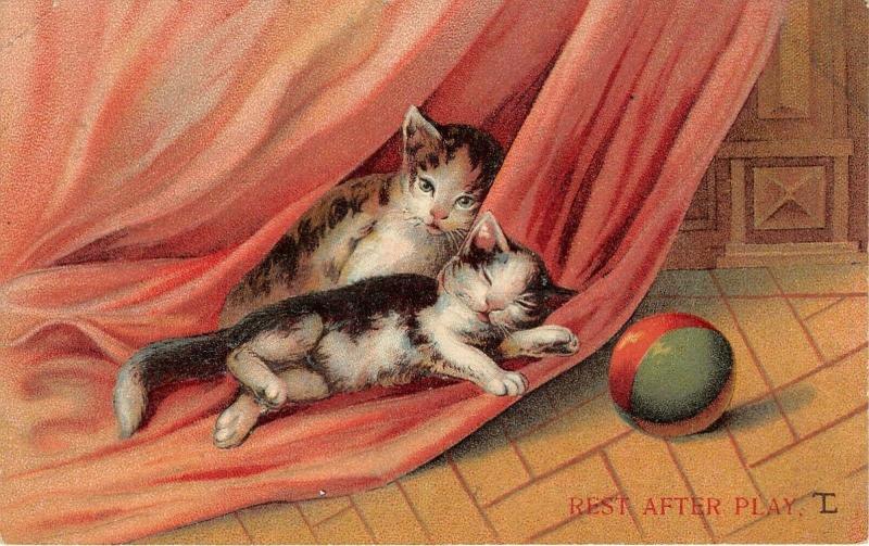 F14/ Cat Animal Postcard 1910 Dennison Ohio Rest After Play 7