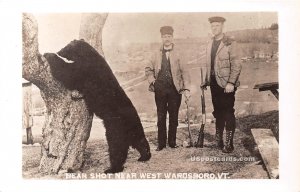 Bear Shot - West Wardsboro, Vermont VT  