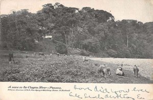Panama Chagres River Scenic View Vintage Postcard AA28188