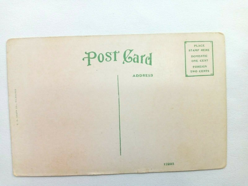 Scene of Growing Pineapples Growing Field Florida Vintage Postcard