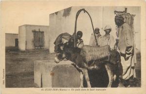 Morocco Oued Zem - Un puits dans le Souk marocain, ethnics, donkey