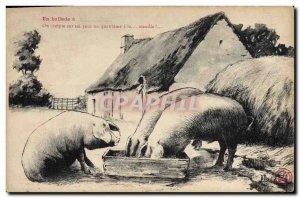 Postcard Old Farm Pig Pig Ballade