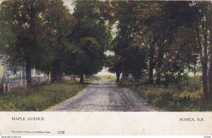 SUSSEX, N.B, Canada, 1900-10s ; Maple Avenue