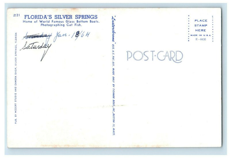 c1960s Cat Fish, Florida's Silver Springs, Home of Glass Bottom Boats Postcard