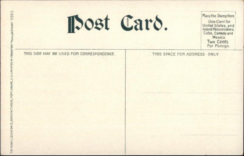 Sailing Ship Turgot c1910 Unused Postcard