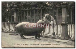 Paris - 5 - Jardin des Plantes - Hippo Senegal - Old Postcard