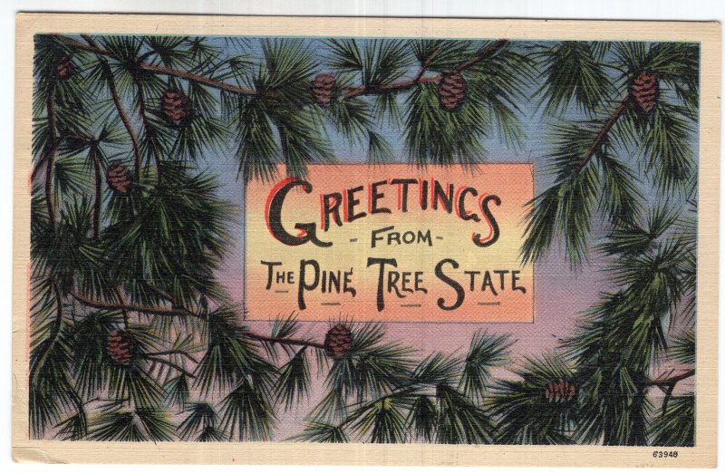 Greetings From The Pine Tree State
