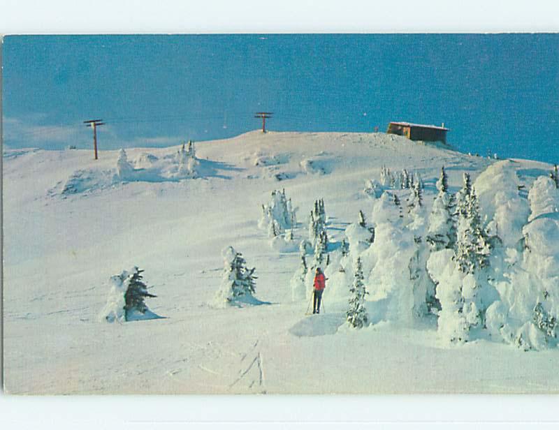 Unused Pre-1980 Skiing - TOD MOUNTAIN SKI RESORT Kamloops BC p8581