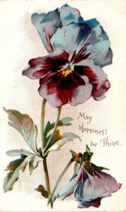 May Happiness Be Thine With Pansies