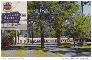 South Carlina Ridgeland Forest Motel