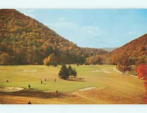 1953 Golfing - Golf At Cascades Club At Homestead Hotel Hot Springs VA t5300