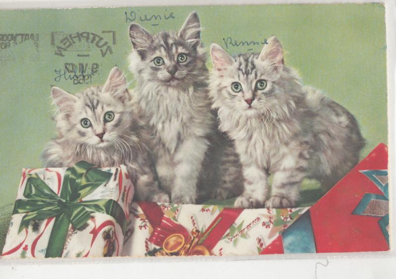 Three cute cats & gifts vintage postcard