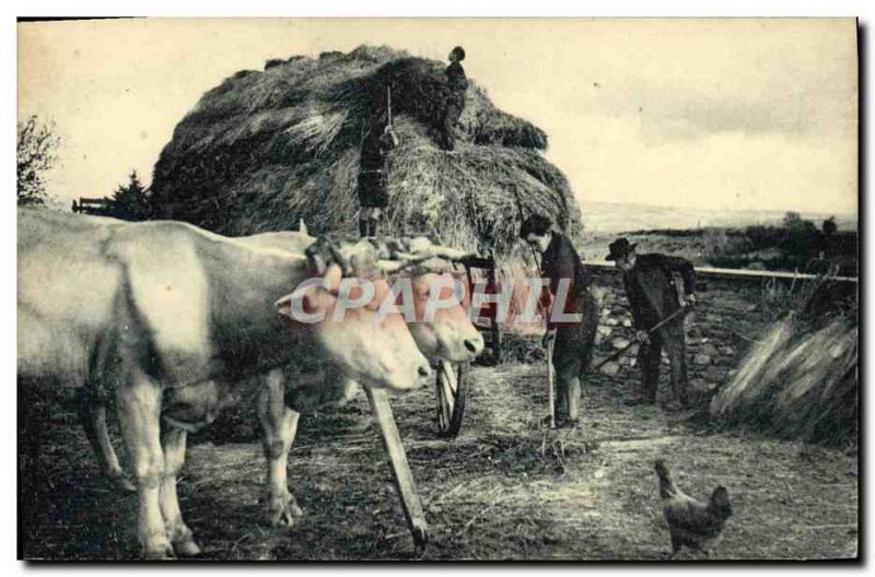 Postcard Old Scout Scout Jamboree Companions of France in the fields