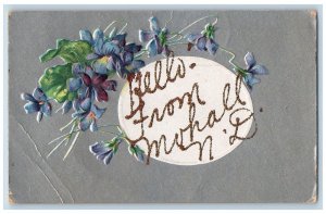 Mohall North Dakota ND Postcard Hello Embossed Flowers Leaves c1910's Antique