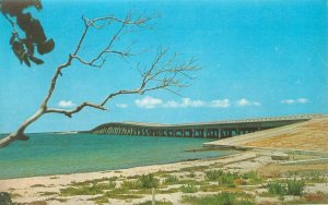 Florida Bridge to Tropical Sanibel & Captiva Islands Vtg. Chrome Postcard