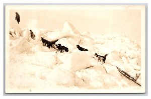 RPPC Dog Sled Team Climbing Snowy HIll UNP Postcard Y15